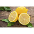 Chinese Wholesale Fresh Citrus Fruit High Nutrition Yellow Lemon